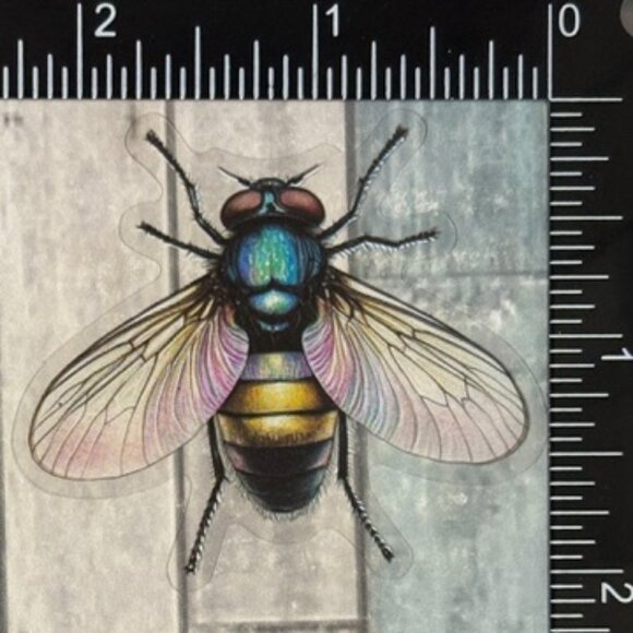 ๐10/$10๐ Translucent Moth Dragonfly Beetle Reusable Waterproof Sticker Decal - Picture 1 of 1